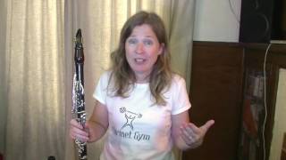 A Clarinet Practise Guide  Succeed More Quickly [upl. by Arrej856]