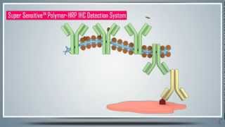 Immunohistochemistry IHC amp AntigenEpitope Protein Retrieval  Principle Technique and Protocol [upl. by Hcir949]