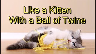 Like a Kitten With a Ball of Twine line dance Dance amp Teach [upl. by Fujio803]