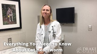 Everything You Need to Know About Cat Heartworm [upl. by Htnamas]