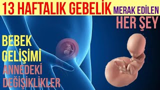 13 Haftalık Gebelik 2023 [upl. by Atinehc]