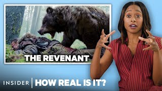 Bear Expert Rates 9 Bear Attacks In Movies And TV  How Real Is It  Insider [upl. by Suedaht]