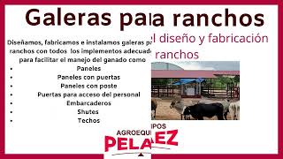 Galeras para ranchos fincas o granjas Establos para ganado con manga shute embarcadero y techado [upl. by Gnouhk]