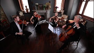 Misty  Stringspace String Quartet [upl. by Nawtna593]