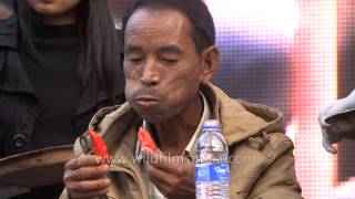 Look at this daring man eat hordes of King Chilly in Nagaland [upl. by Eidoj937]