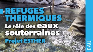 Refuges thermiques  les eaux souterraines jouentelle un rôle [upl. by Atiken]