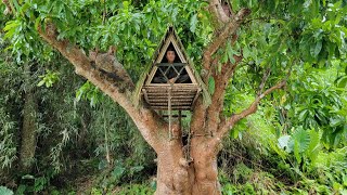 FULL VIDEO 125 Days Bushcraft builds secret shelter inside giant tree roots tree shelter [upl. by Sorilda]