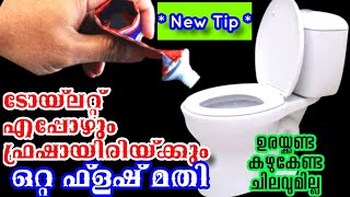 ഒഴിഞ്ഞ ടൂത്ത്പേസ്റ്റ് കവറുകൊണ്ട് Toilet എപ്പോഴും ഫ്രഷാക്കി വെയ്ക്കാംToilet cleaning tips Easy tips [upl. by Tabshey]