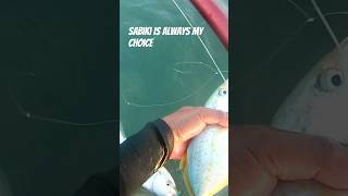 SABIKI is always my choice fishing bestfishingtechniques [upl. by Scotti]