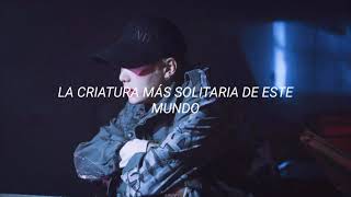 BTS  Whalien 52 Sub Español [upl. by Tshombe]