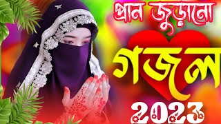 🌿 Bangla Gazal  Ghazal 2023  Islamic Gazal 2023  Notun Gojol 2023  Gazal 2023  islamic gojol [upl. by Kippy]