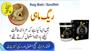 benifits of majun raig mahi ajmaliریگ ماہی کے فائدے اردو میں [upl. by Barna77]