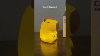 Is Capybara Love Let it Gift Cute Capybara Glowing Capybara Christmas Gift [upl. by Fina]