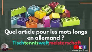 Quel article pour les mots longs en allemand  Très facile à comprendre [upl. by Letnahc]