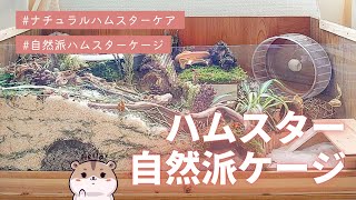 ハムスター自然派ケージ Naturalistic Hamster Enclosure [upl. by Rather202]