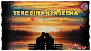 TERE BINA KYA JEENA  Latest Bollywood Song  lofi mashup  bollywood songs  new song [upl. by Haleemaj]