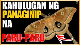 KAHULUGAN NG PARUPARU SA IYONG PANAGINIP  Bhes Tv [upl. by Ruff518]