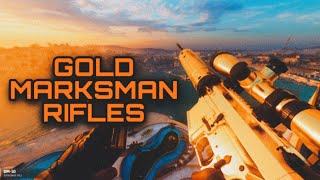 I Unlocked GOLD for Every Marksman Rifle in BO6… Let’s Talk About Them  BO6 [upl. by Eetsud]