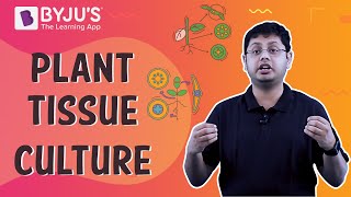 Plant Tissue Culture [upl. by Amand]