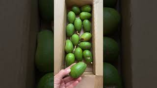 Aravaipa Avocado seconds 15 per box [upl. by Bigler]