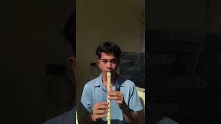 My progress in playing “Paruparong Bukid” in a recorder [upl. by Arral595]