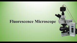 Fluorescence microscope [upl. by Neraj]