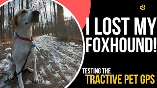 Lets test a dog GPS  Using the Tractive in real life [upl. by Elvina]