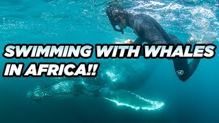 GARRETT LEFT US IN AFRICA TO GO CHASE WHALES SHARKS and SARDINES [upl. by Halle]