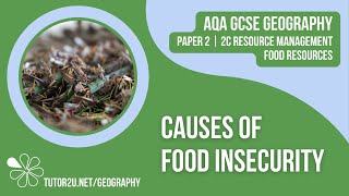 Causes of Food Insecurity  AQA GCSE Geography  Food 2 [upl. by Kurth631]