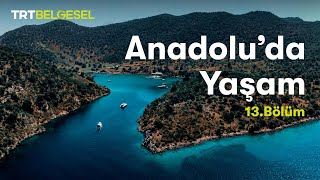 Anadoluda Yaşam  Akdeniz Bölgesi  TRT Belgesel [upl. by Sleinad872]