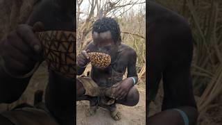 Its was wondering food hadzabe tribe Eating breakfast [upl. by Denbrook]