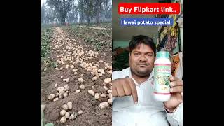 Increase potato size hawai tonic [upl. by Iel]