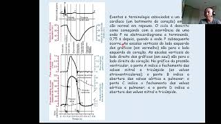 Sistema cardiovascular  coração [upl. by Elmo]