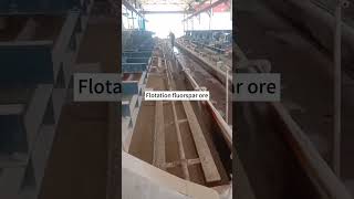 FluorsparFluorite Ore Beneficiation Plant Ball Mill Spiral Classifier Flotation Machine [upl. by Dloreh]