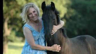 Wind Spirit Friesians [upl. by Stroud]