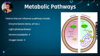 252  Metabolic Pathways [upl. by Nylknarf]