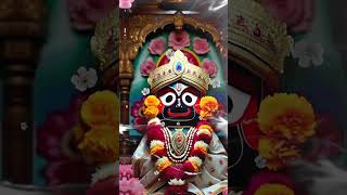 Odia jagannath bhajan status hd 4k jagannath statusodia bhajan shorts shortvideo short [upl. by Alaham964]