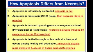 Difference between Apoptosis and Necrosis Part2 [upl. by Enyamrahs309]