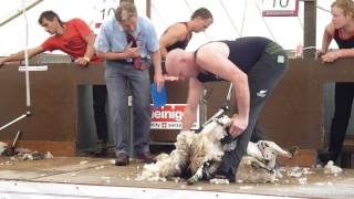 Lochearnhead Shears 2014 Scotland New Zealand Test  Watch in HD [upl. by Holcman]