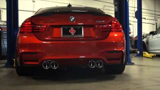 BMW M4 wMeisterschaft GT2  Eisenmann Downpipes [upl. by Yule]