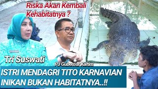 AMBO TEMANI ISTRI TITO KARNAVIAN MENDAGRI KEPENANGKARANRISKA KEMBALI KEHABITATNYA❓ [upl. by Dragoon]