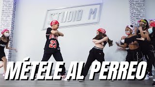 MÉTELE AL PERREO  DADDY YANKEE  ELENCO STUDIO M  MAJO TIRADO [upl. by Sinnel]