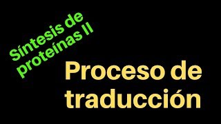 Síntesis de proteínas II Traducción [upl. by Enitnemelc]