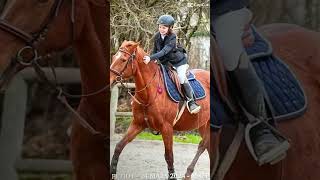 Svp le montage rentabiliser horse horseing equestrian equestrianshow edit pony showjumping [upl. by Okiram134]