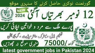 Latest government November jobs 2024 ۔ New jobs 2024 in pakistan۔Latest jobs in Pakistan 2024 today [upl. by Rednasxela]