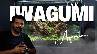 Watch this to know about Iwagumi Style Aquarium Setup Tamil aquarium [upl. by Binny218]