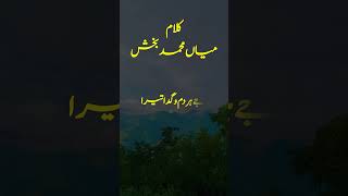 Kalam mian Muhammad Bakhsh kalam naat beautiful [upl. by Rosco716]