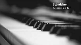 quotStändchenquot  R Strauss Op17 Piano Accompaniment [upl. by Eiramalegna327]