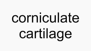 How to pronounce corniculate cartilage [upl. by Eidok]