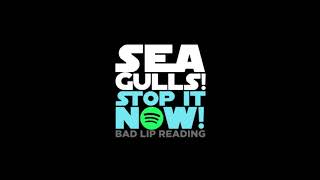 Seagulls Stop It Now Official Audio Version  Bad Lip Reading [upl. by Vanessa]